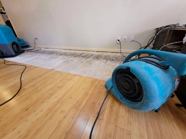 Professional Structural Drying technician working in Duenweg, MO